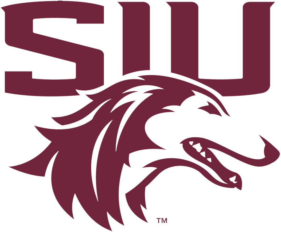 Southern Illinois Salukis 2019-Pres Alternate Logo diy DTF decal sticker